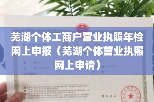 芜湖个体工商户营业执照年检网上申报（芜湖个体营业执照网上申请）