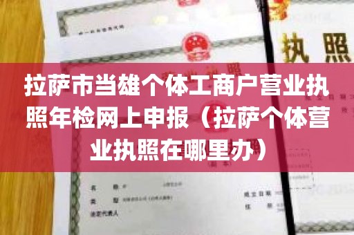 拉萨市当雄个体工商户营业执照年检网上申报（拉萨个体营业执照在哪里办）