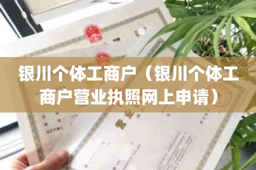 银川个体工商户（银川个体工商户营业执照网上申请）