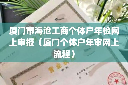 厦门市海沧工商个体户年检网上申报（厦门个体户年审网上流程）