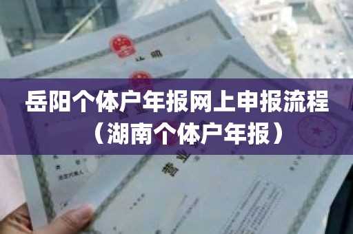 岳阳个体户年报网上申报流程（湖南个体户年报）