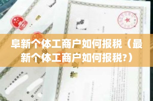 阜新个体工商户如何报税（最新个体工商户如何报税?）