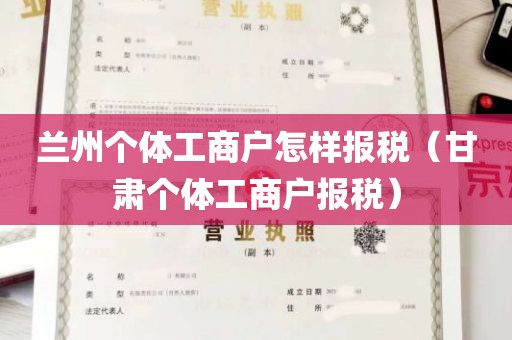 兰州个体工商户怎样报税（甘肃个体工商户报税）