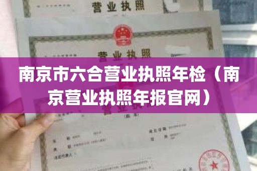 南京市六合营业执照年检（南京营业执照年报官网）