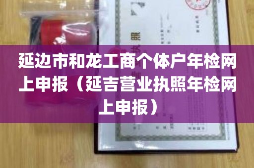 延边市和龙工商个体户年检网上申报（延吉营业执照年检网上申报）