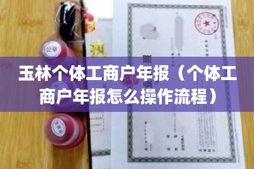 玉林个体工商户年报（个体工商户年报怎么操作流程）