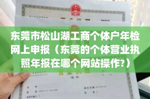 东莞市松山湖工商个体户年检网上申报（东莞的个体营业执照年报在哪个网站操作?）