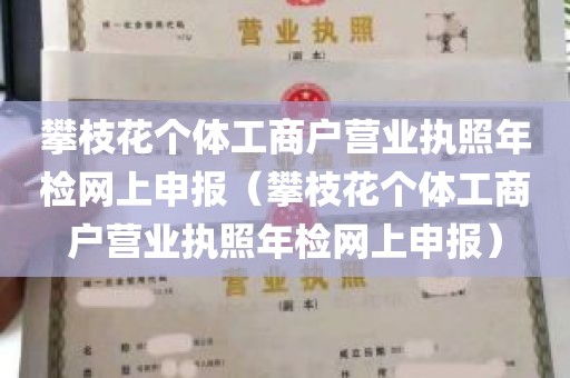 攀枝花个体工商户营业执照年检网上申报（攀枝花个体工商户营业执照年检网上申报）