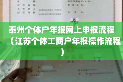 泰州个体户年报网上申报流程（江苏个体工商户年报操作流程）