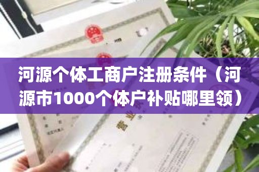 河源个体工商户注册条件（河源市1000个体户补贴哪里领）