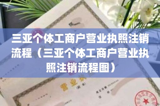 三亚个体工商户营业执照注销流程（三亚个体工商户营业执照注销流程图）