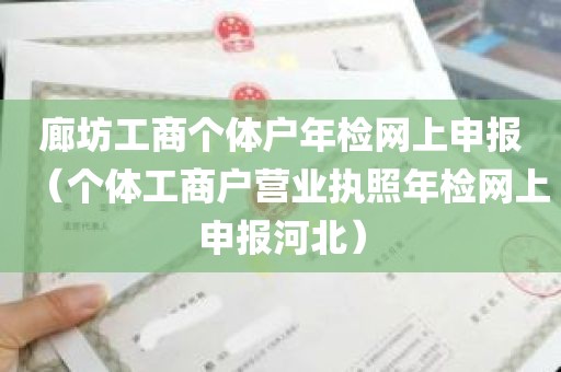 廊坊工商个体户年检网上申报（个体工商户营业执照年检网上申报河北）