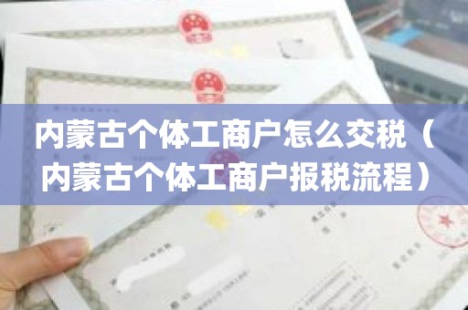 内蒙古个体工商户怎么交税（内蒙古个体工商户报税流程）