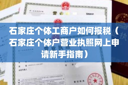 石家庄个体工商户如何报税（石家庄个体户营业执照网上申请新手指南）