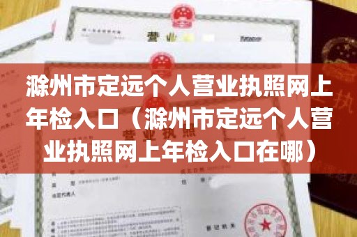 滁州市定远个人营业执照网上年检入口（滁州市定远个人营业执照网上年检入口在哪）