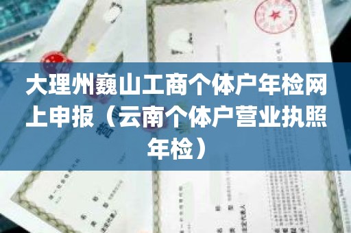 大理州巍山工商个体户年检网上申报（云南个体户营业执照年检）