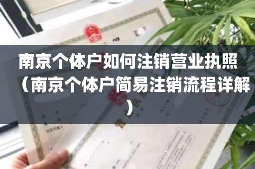 南京个体户如何注销营业执照（南京个体户简易注销流程详解）