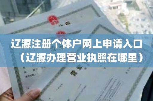 辽源注册个体户网上申请入口（辽源办理营业执照在哪里）