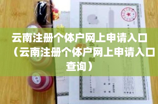 云南注册个体户网上申请入口（云南注册个体户网上申请入口查询）