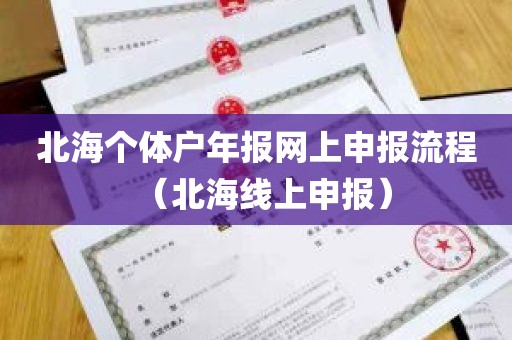 北海个体户年报网上申报流程（北海线上申报）