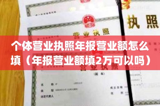 个体营业执照年报营业额怎么填（年报营业额填2万可以吗）