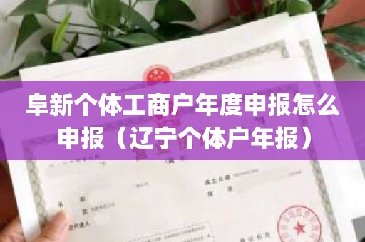 阜新个体工商户年度申报怎么申报（辽宁个体户年报）