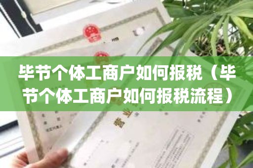 毕节个体工商户如何报税（毕节个体工商户如何报税流程）