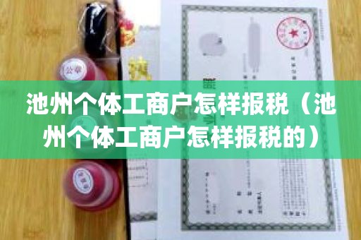 池州个体工商户怎样报税（池州个体工商户怎样报税的）