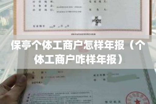 保亭个体工商户怎样年报（个体工商户咋样年报）