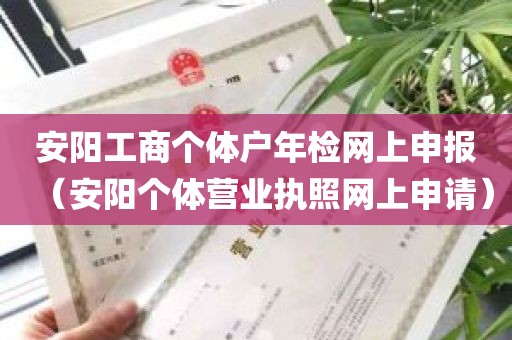 安阳工商个体户年检网上申报（安阳个体营业执照网上申请）