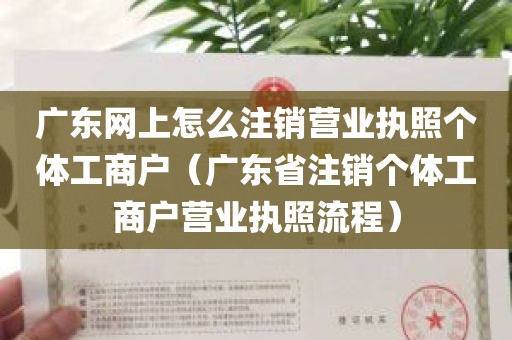 广东网上怎么注销营业执照个体工商户（广东省注销个体工商户营业执照流程）