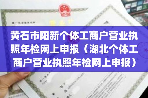 黄石市阳新个体工商户营业执照年检网上申报（湖北个体工商户营业执照年检网上申报）