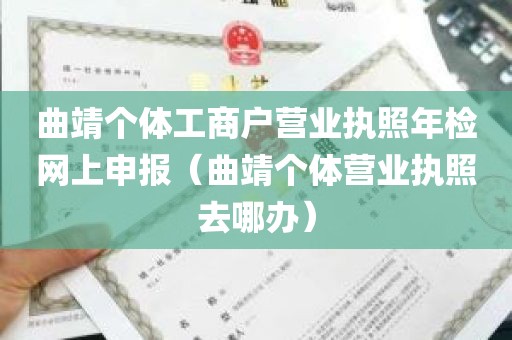 曲靖个体工商户营业执照年检网上申报（曲靖个体营业执照去哪办）