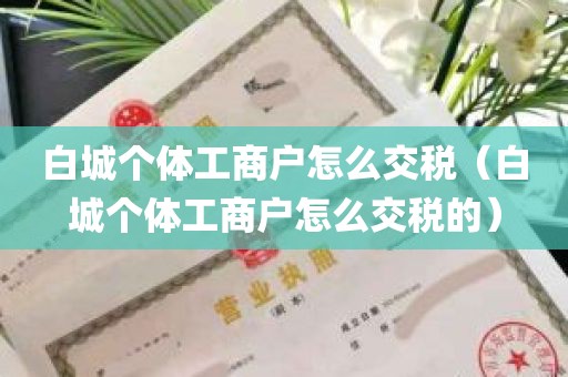 白城个体工商户怎么交税（白城个体工商户怎么交税的）