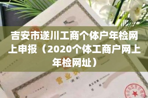 吉安市遂川工商个体户年检网上申报（2020个体工商户网上年检网址）