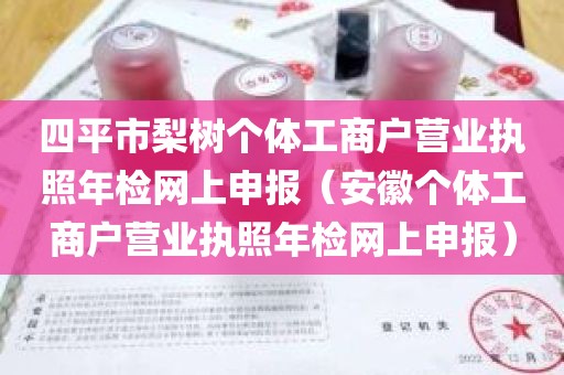 四平市梨树个体工商户营业执照年检网上申报（安徽个体工商户营业执照年检网上申报）