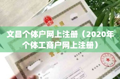 文昌个体户网上注册（2020年个体工商户网上注册）