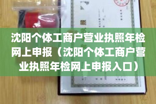 沈阳个体工商户营业执照年检网上申报（沈阳个体工商户营业执照年检网上申报入口）