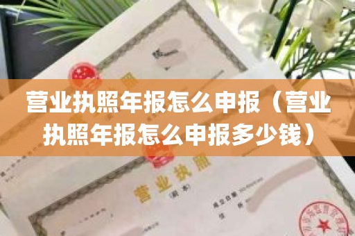 营业执照年报怎么申报（营业执照年报怎么申报多少钱）