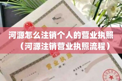 河源怎么注销个人的营业执照（河源注销营业执照流程）