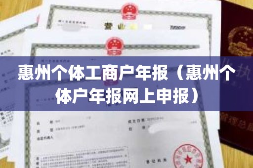 惠州个体工商户年报（惠州个体户年报网上申报）