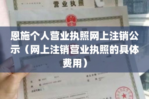 恩施个人营业执照网上注销公示（网上注销营业执照的具体费用）