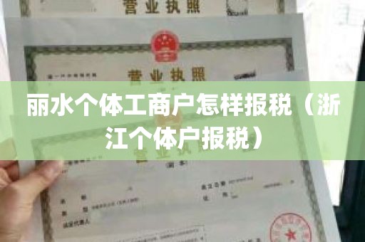 丽水个体工商户怎样报税（浙江个体户报税）