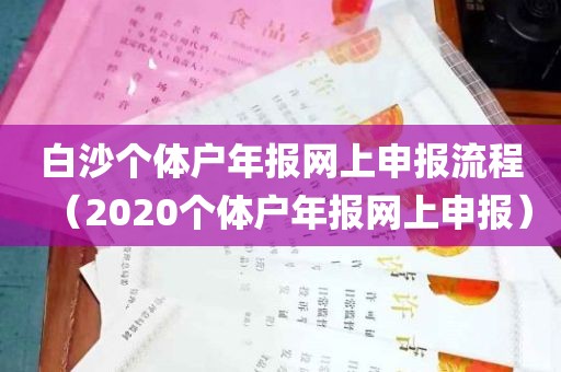 白沙个体户年报网上申报流程（2020个体户年报网上申报）