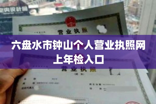 六盘水市钟山个人营业执照网上年检入口