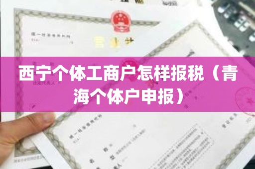 西宁个体工商户怎样报税（青海个体户申报）