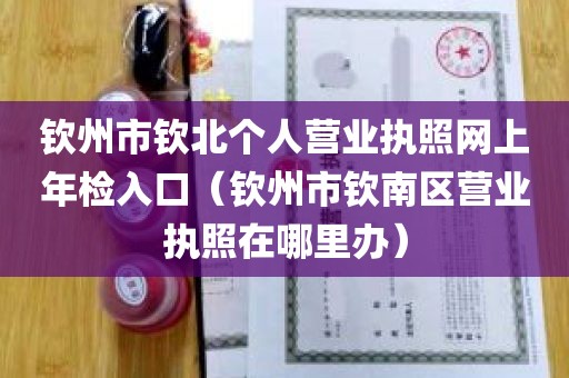 钦州市钦北个人营业执照网上年检入口（钦州市钦南区营业执照在哪里办）