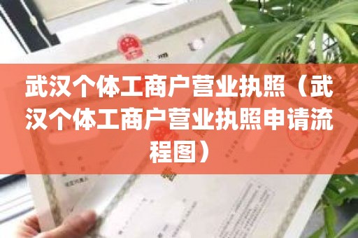 武汉个体工商户营业执照（武汉个体工商户营业执照申请流程图）