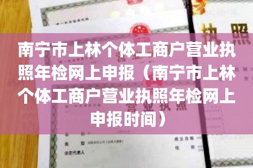 南宁市上林个体工商户营业执照年检网上申报（南宁市上林个体工商户营业执照年检网上申报时间）