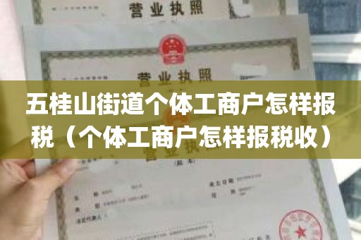 五桂山街道个体工商户怎样报税（个体工商户怎样报税收）